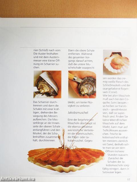 Fisch & Meeresfrüchte