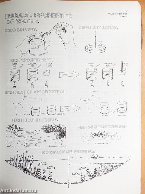 The Biology Coloring Book