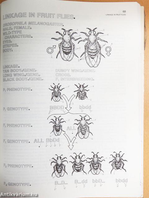 The Biology Coloring Book