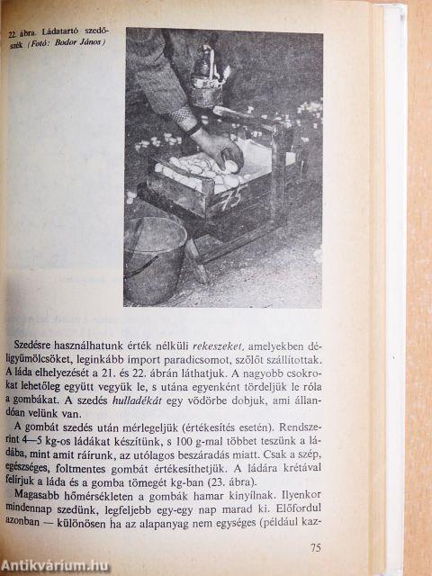 A csiperke és más gombák háztáji termesztése