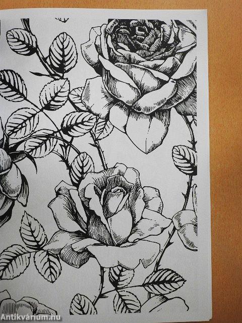 Kreatív színező felnőtteknek