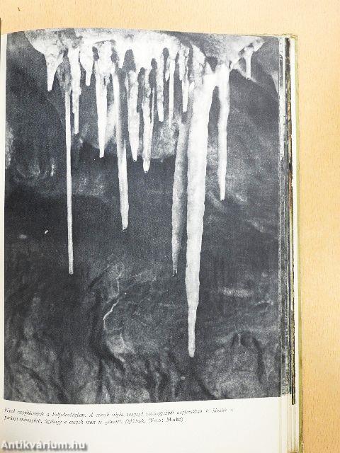 A békebarlang felfedezése