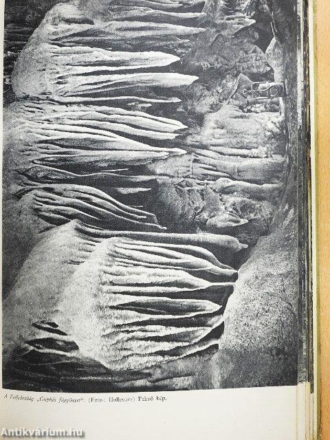 A békebarlang felfedezése