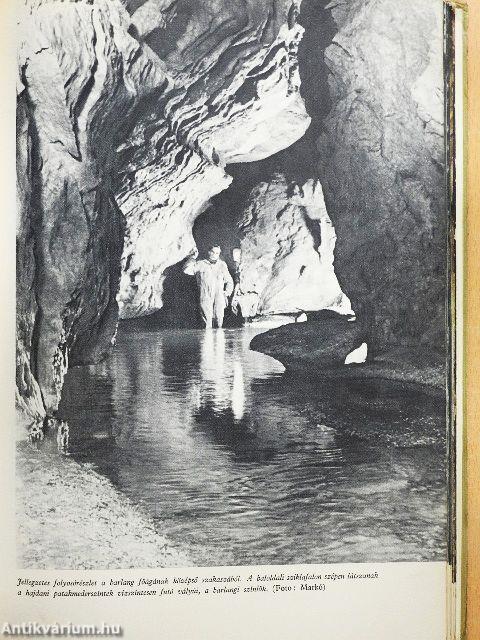 A békebarlang felfedezése