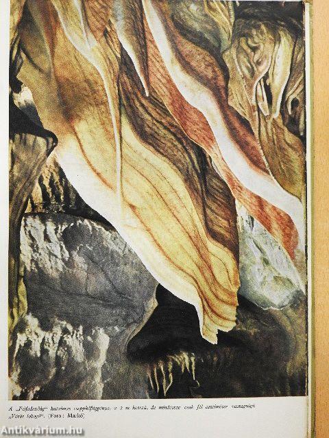 A békebarlang felfedezése