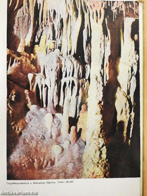 A békebarlang felfedezése