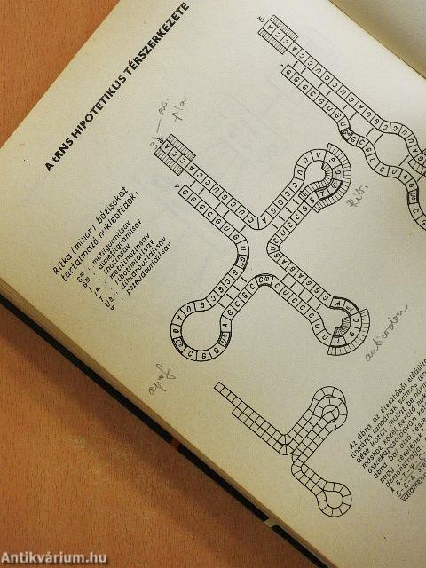 Szemléltető biokémia