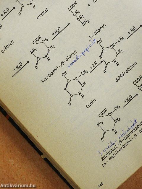 Szemléltető biokémia