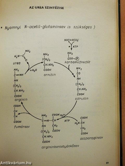 Szemléltető biokémia