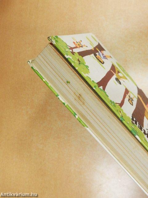 Kisgyermekek játékoskönyve