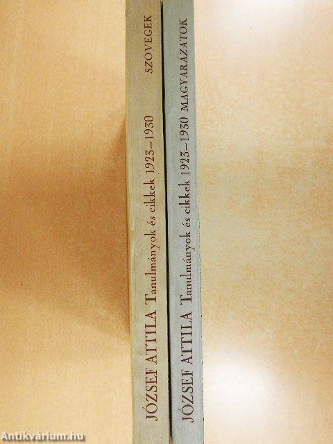 Tanulmányok és cikkek 1923-1930 - Szövegek/Magyarázatok