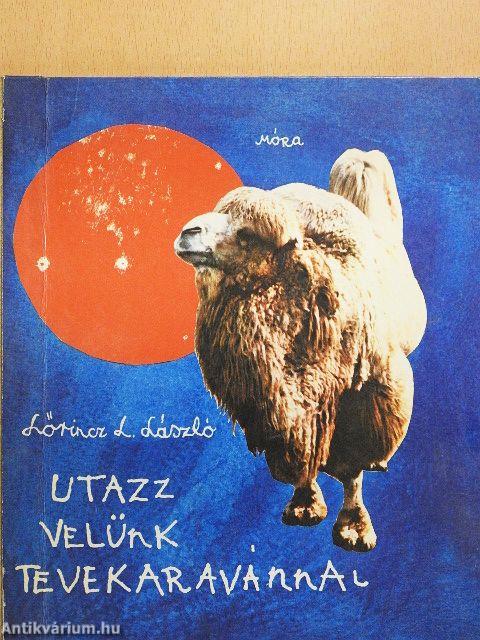 Utazz velünk tevekaravánnal