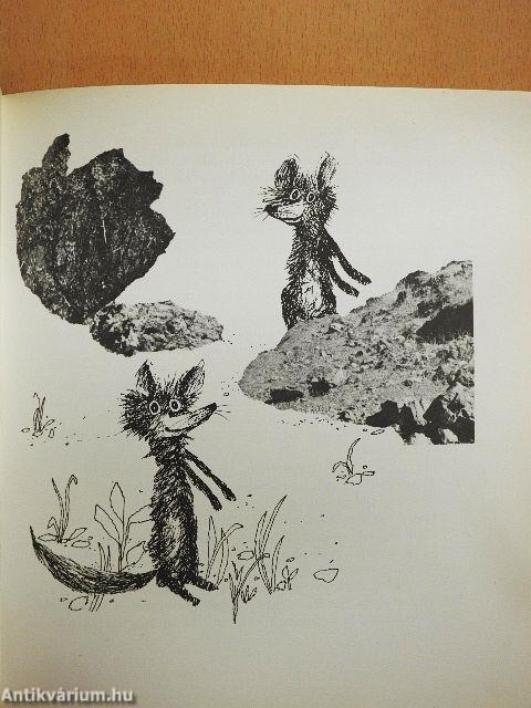 Utazz velünk tevekaravánnal