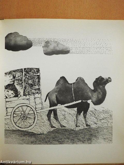 Utazz velünk tevekaravánnal