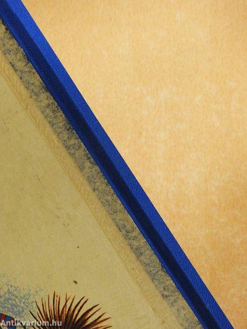 Róka Móka bábszínháza