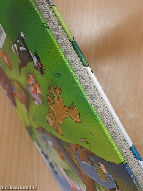 Piroska és a farkas/Hüvelyk Matyi/A brémai muzsikusok/A békakirály