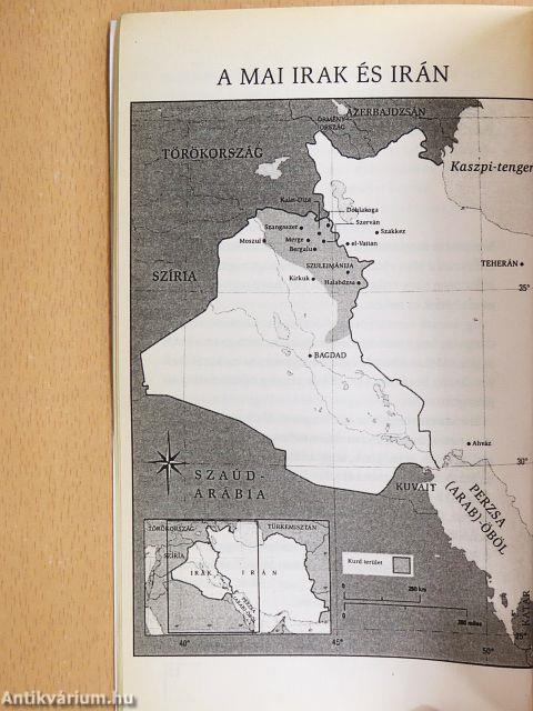 Szerelem a terror árnyékában