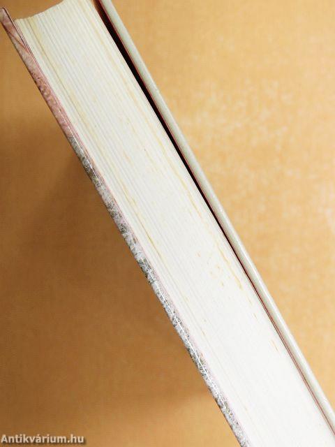 Egy magyar diák élete Mátyás király korában