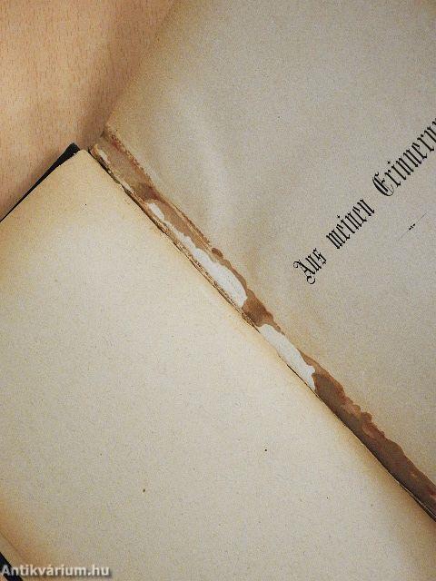 Aus meinen Erinnerungen (gótbetűs)