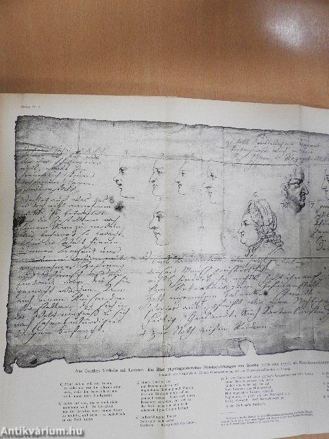 Deutsche Litteraturgeschichte II. (gótbetűs)