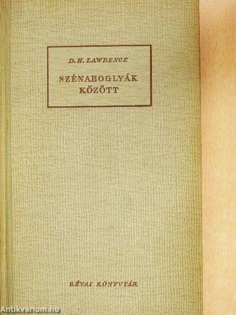 Szénaboglyák között