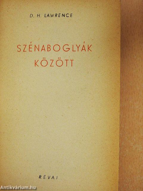 Szénaboglyák között