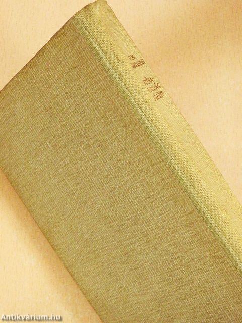 Szénaboglyák között