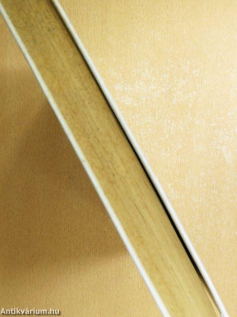 Néhány Szó a' Lóverseny körül