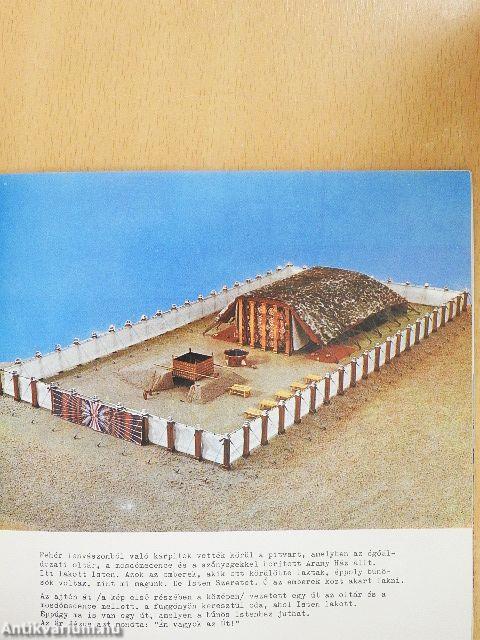 Isten hozott az Arany Házban!