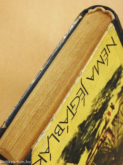 Néma jégtáblák I-II.