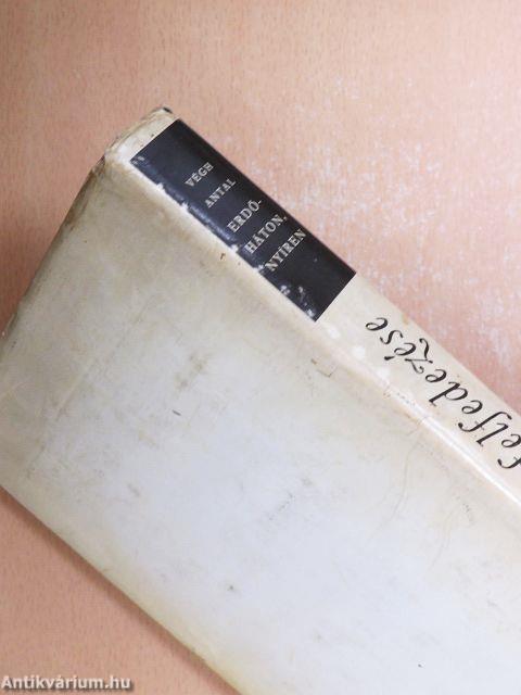 Erdőháton, Nyíren