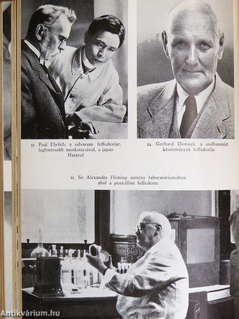 A gyógyítás diadalútja