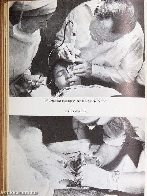 A gyógyítás diadalútja