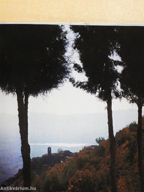 Assisi Szent Ferenc és világa