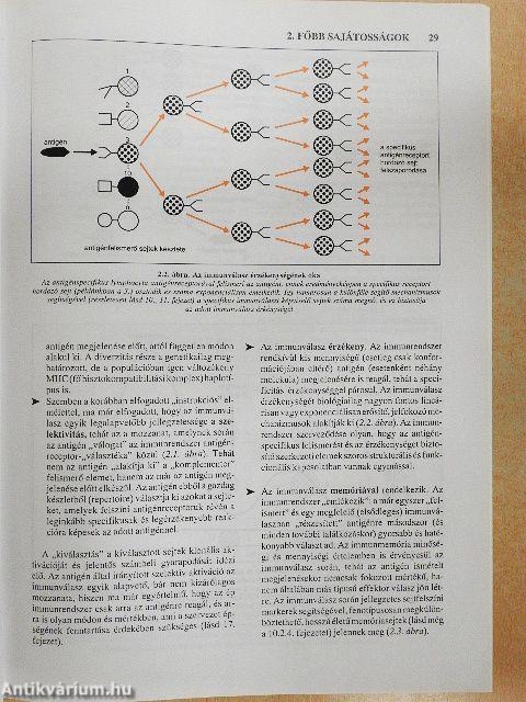 Az immunológia élettani és molekuláris alapjai