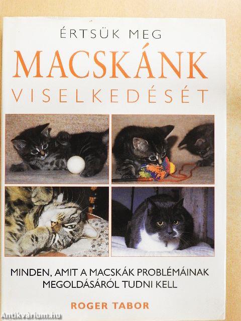 Értsük meg macskánk viselkedését