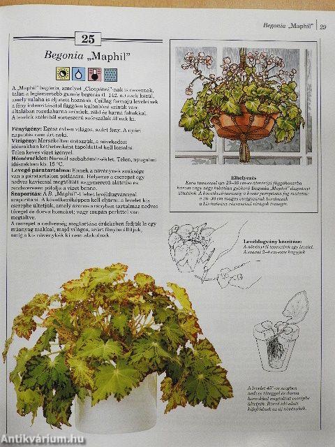 200 kedvelt szobanövény termesztése és ápolása