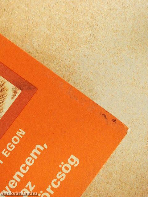 Kedvencem, az aranyhörcsög