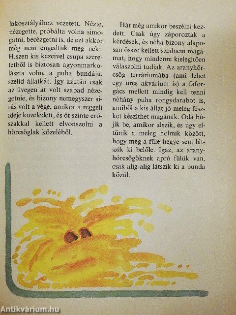 Kedvencem, az aranyhörcsög