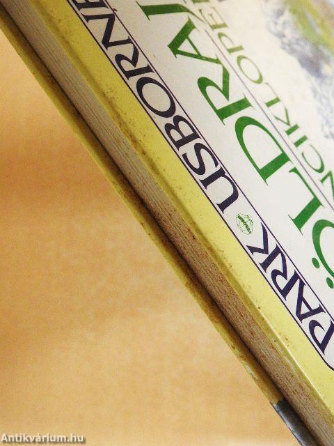 Park-Usborne földrajzi kisenciklopédia