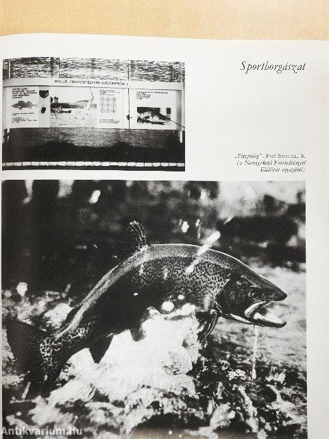 Vadászati Világkiállítás 1971.