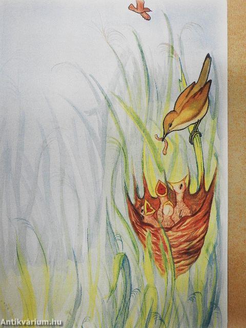 Kisiskolások olvasókönyve - Mesék