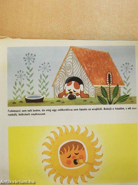 A kíváncsi kiskutya