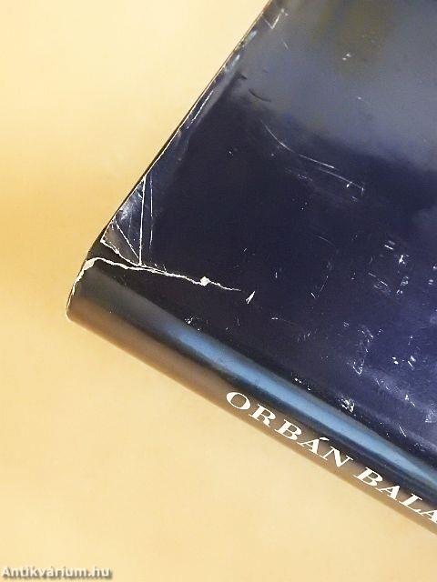 Torda város és környéke