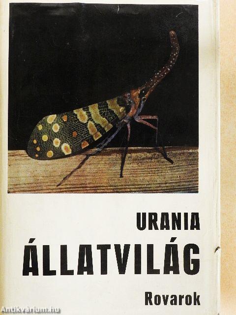 Urania Állatvilág - Rovarok