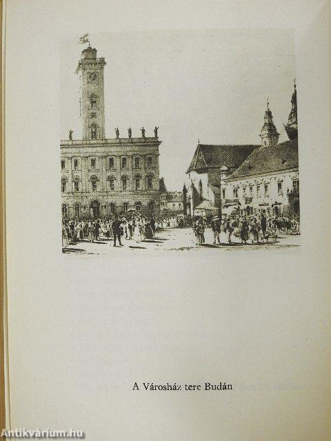 Uracsok, arszlánnők