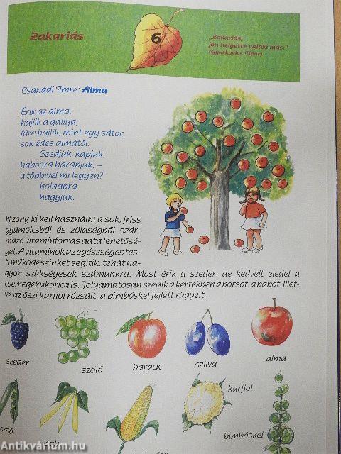 Lépésről lépésre az iskola felé - Szeptember