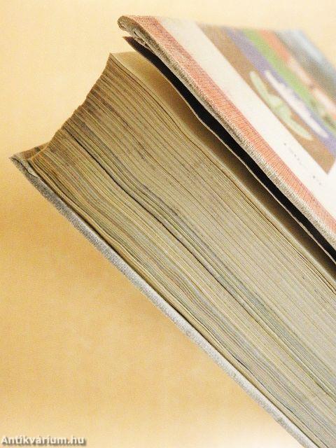 A világ és az ember