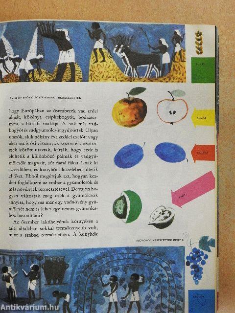 A világ és az ember