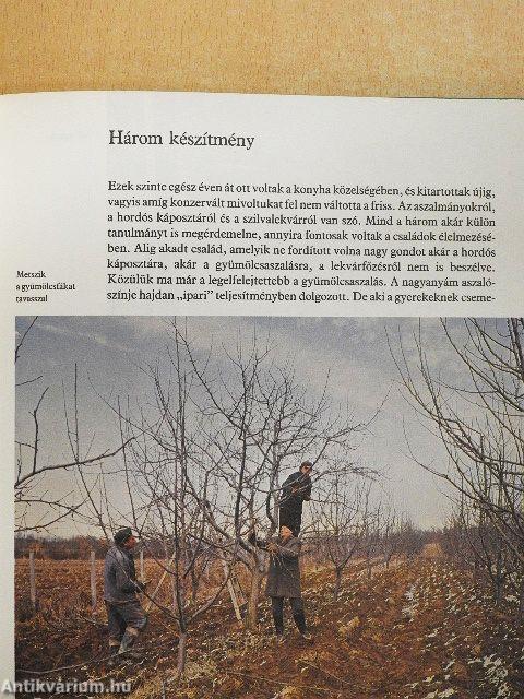 Több nap, mint kolbász